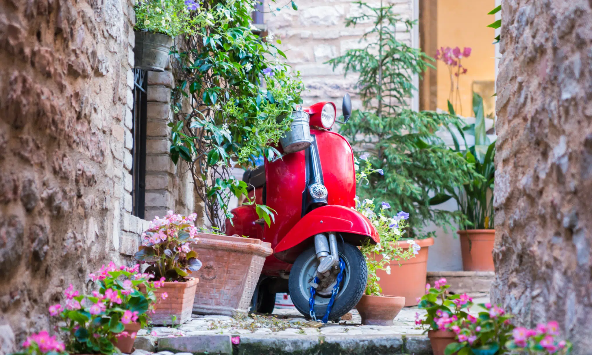 Americans Love Italian Dolce Vita