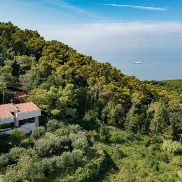 Villa with a Sea View in Livorno