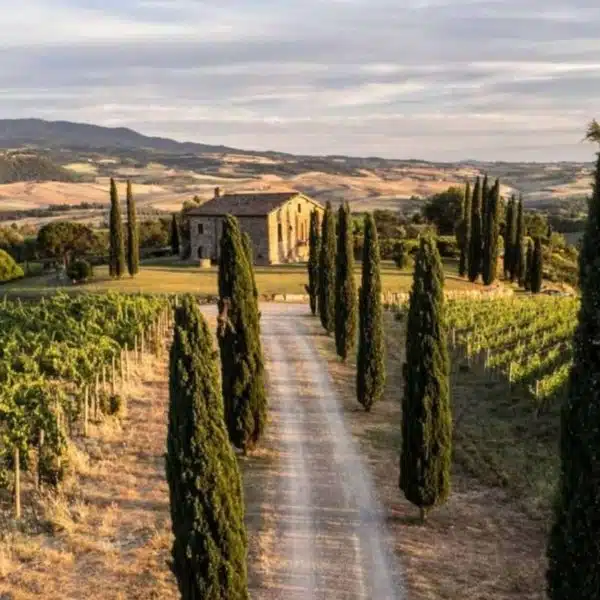 Farmhouse with Pool and Vineyard - Casale con Piscina e Vigneto