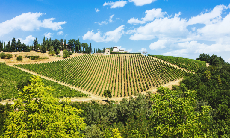 Country houses in Chianti and Val d’Orcia