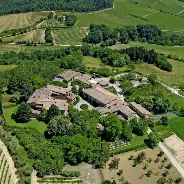 Farm with Vineyard