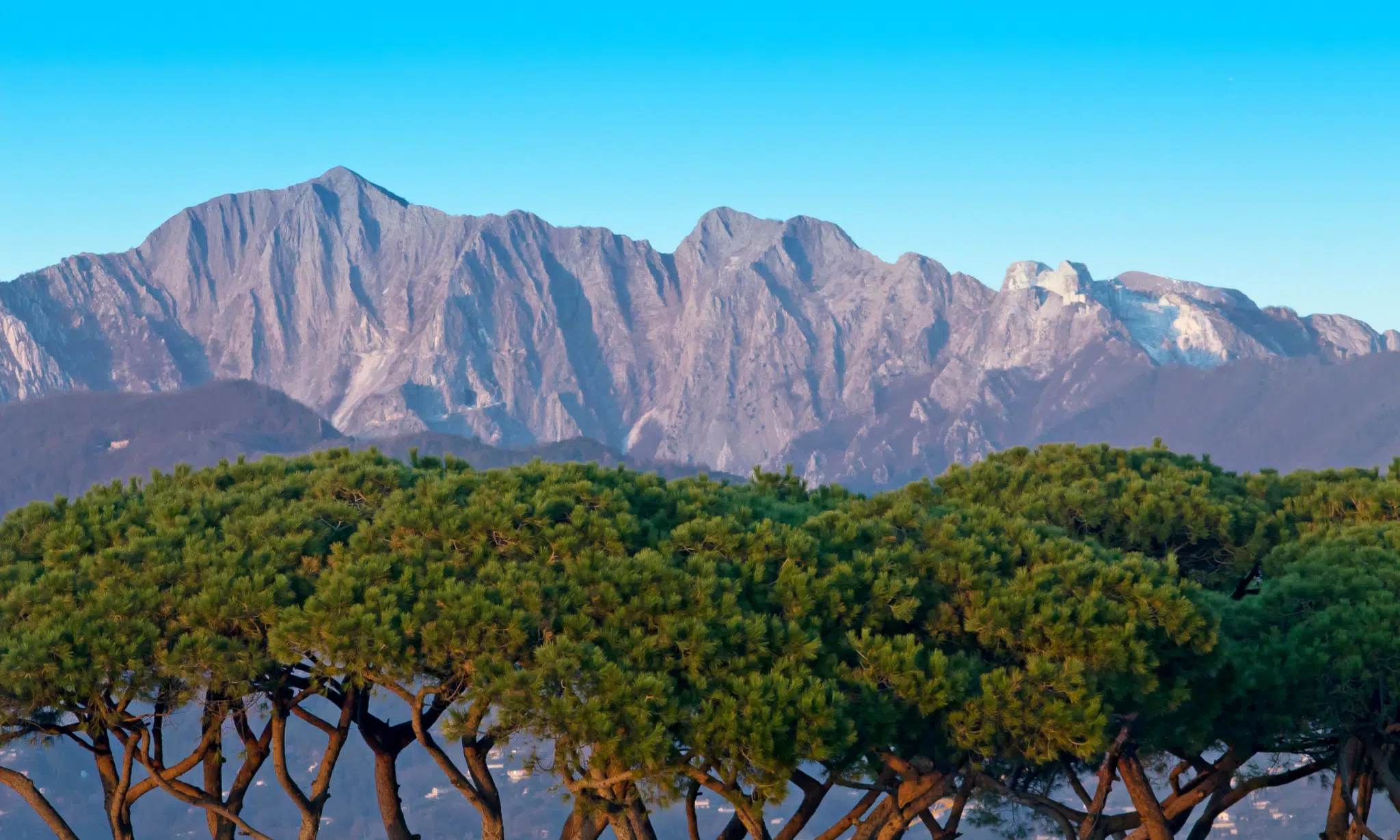 Versilia - Forte dei Marmi - luxury real estate