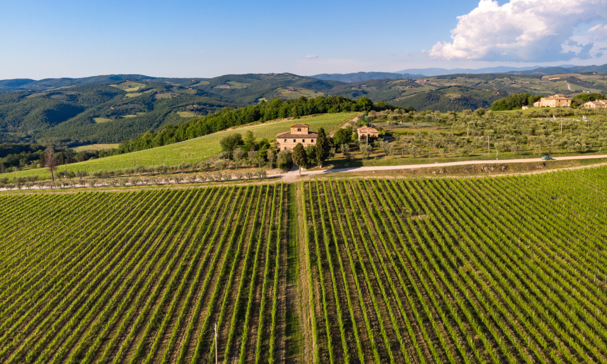 Italian Rural Vinyards Farm Houses Old Italian Vineyards Wineries, Wines And Farmhouses With