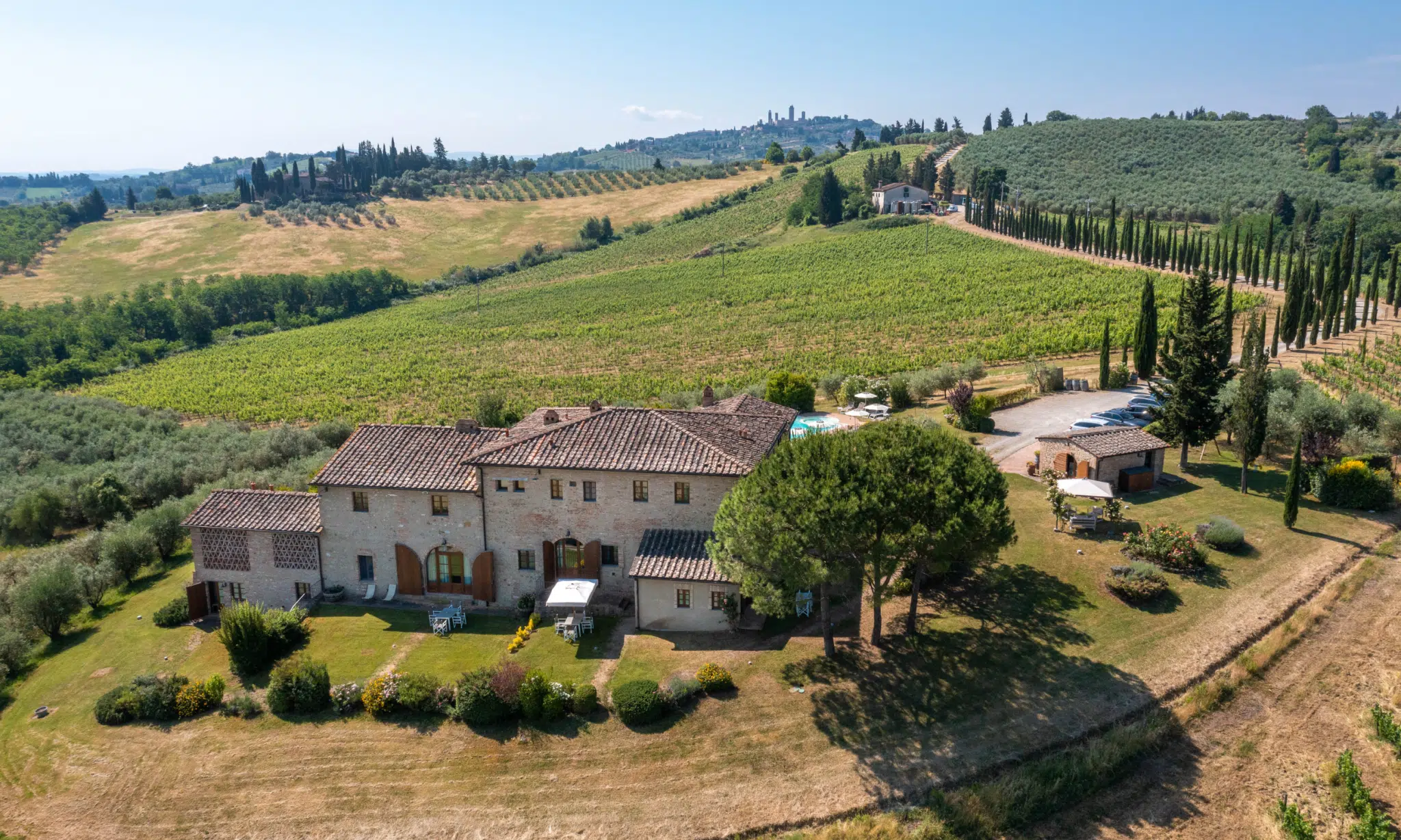 Luxury Investments in Tuscan Vineyards 