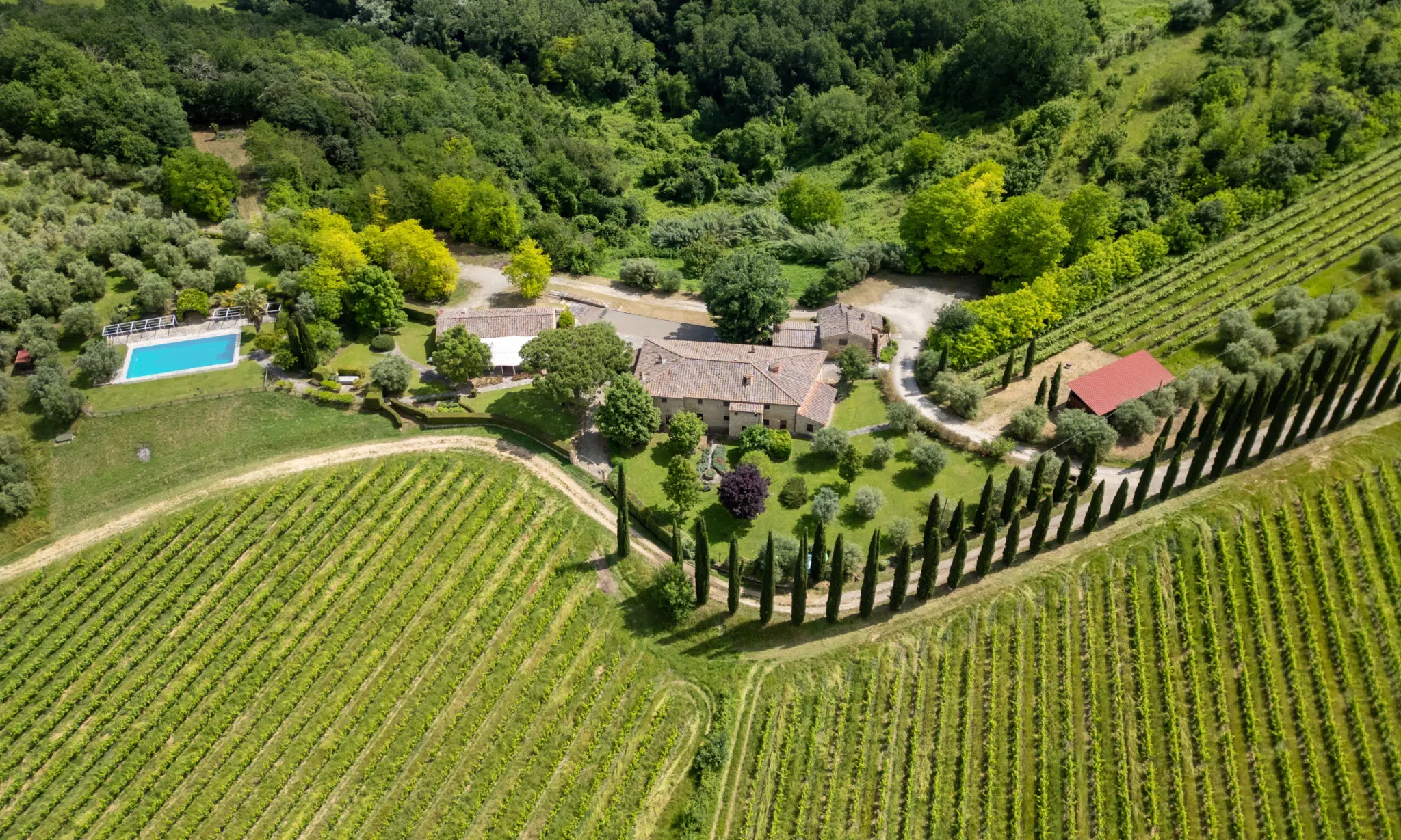 luxury real estate winery vineyards - vitigni, cantine, vini