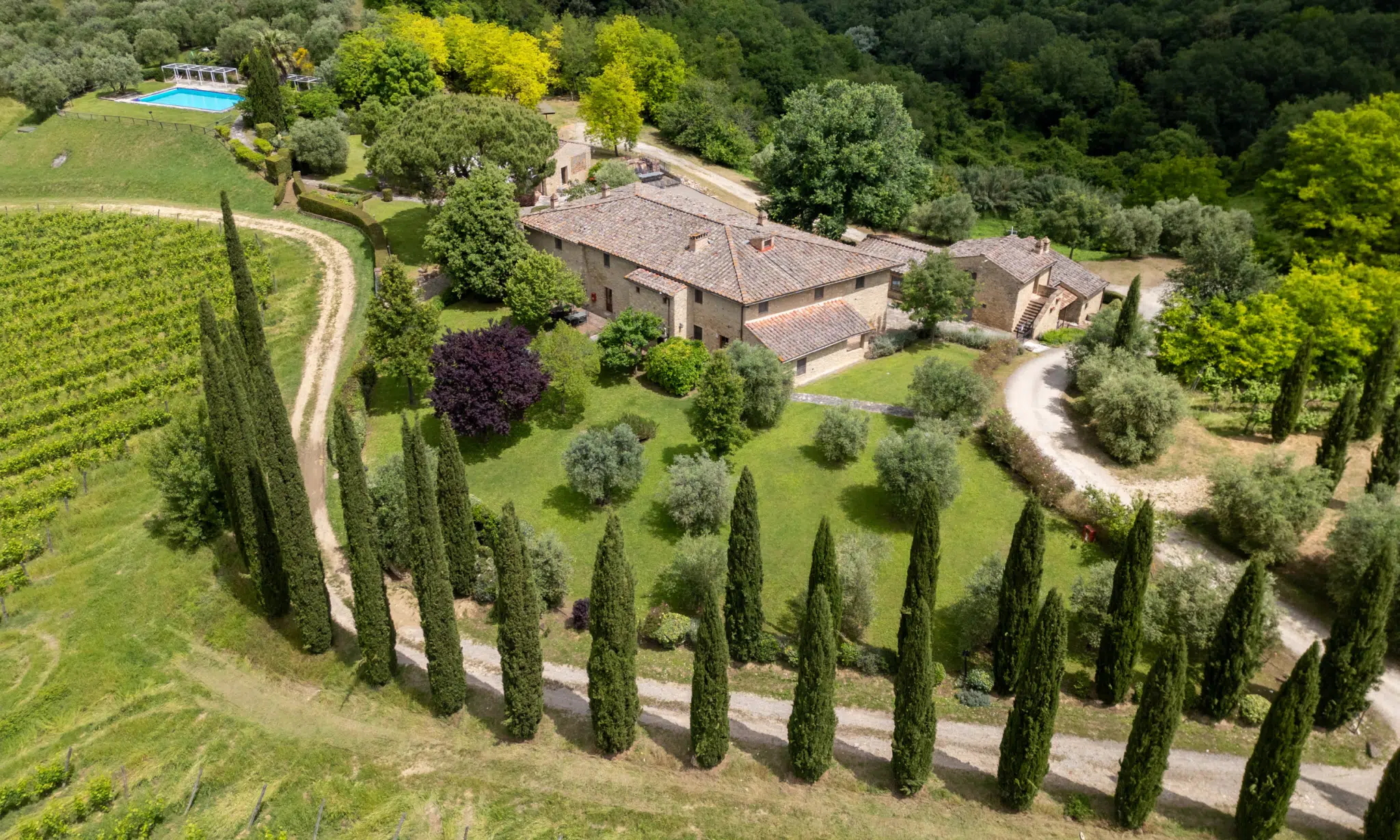 stunning farmhouse with a swimming pool, olive groves and vineyards in tuscany hamlet