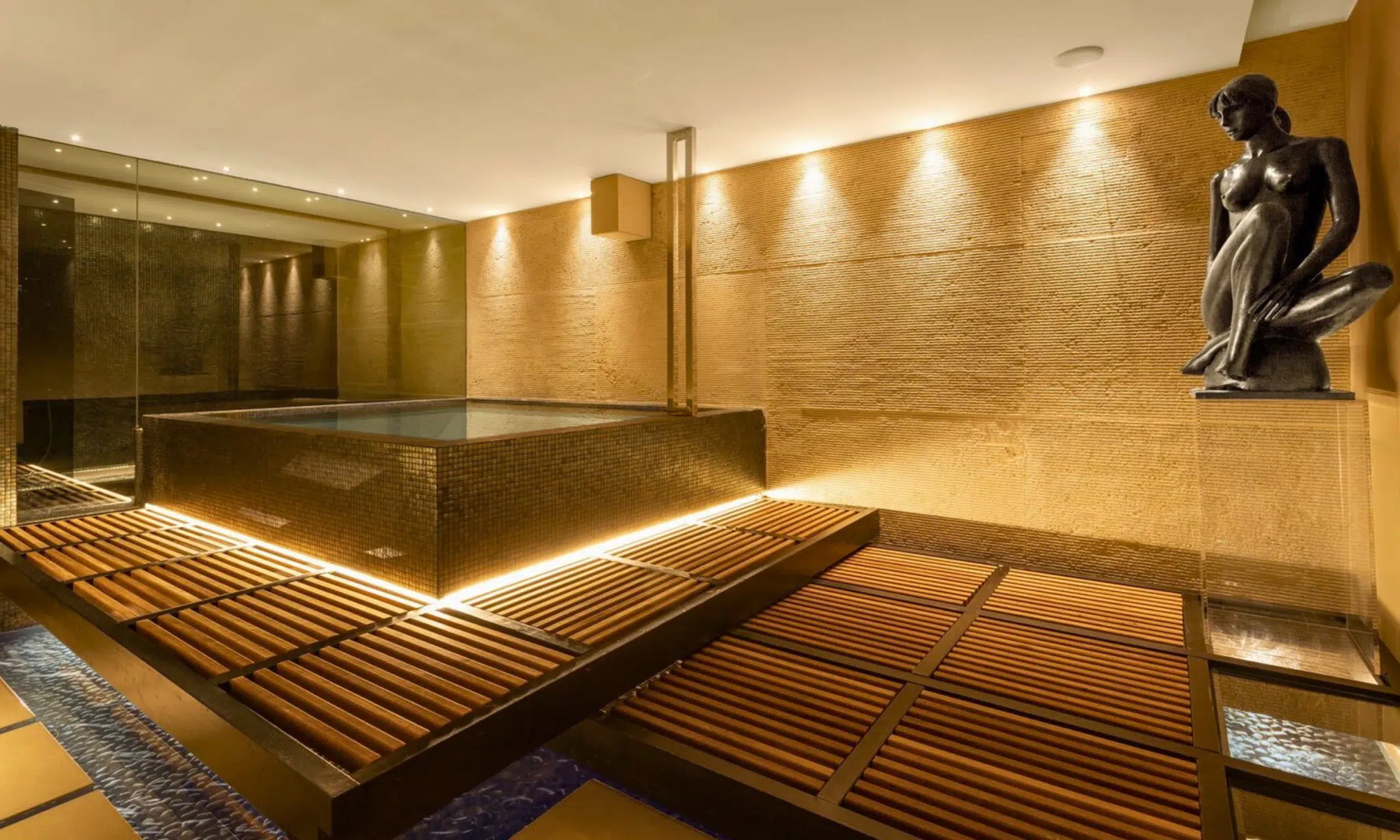 luxury home with spa