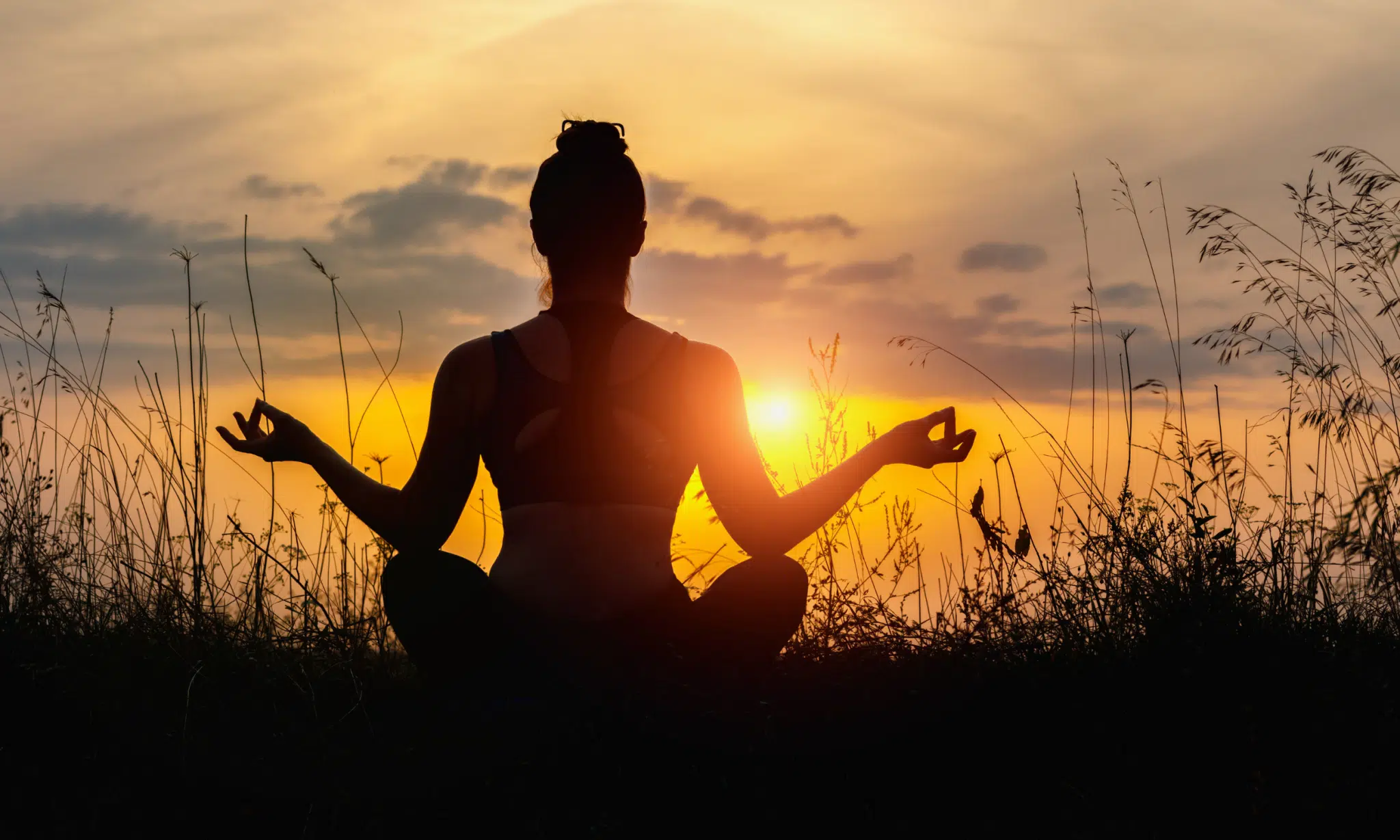 Wellness Real Estate: Spaces that Nurture Body and Mind