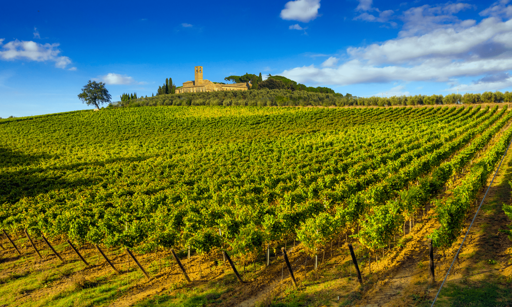 Chianti and Val d'Orcia - Tuscany Countryside