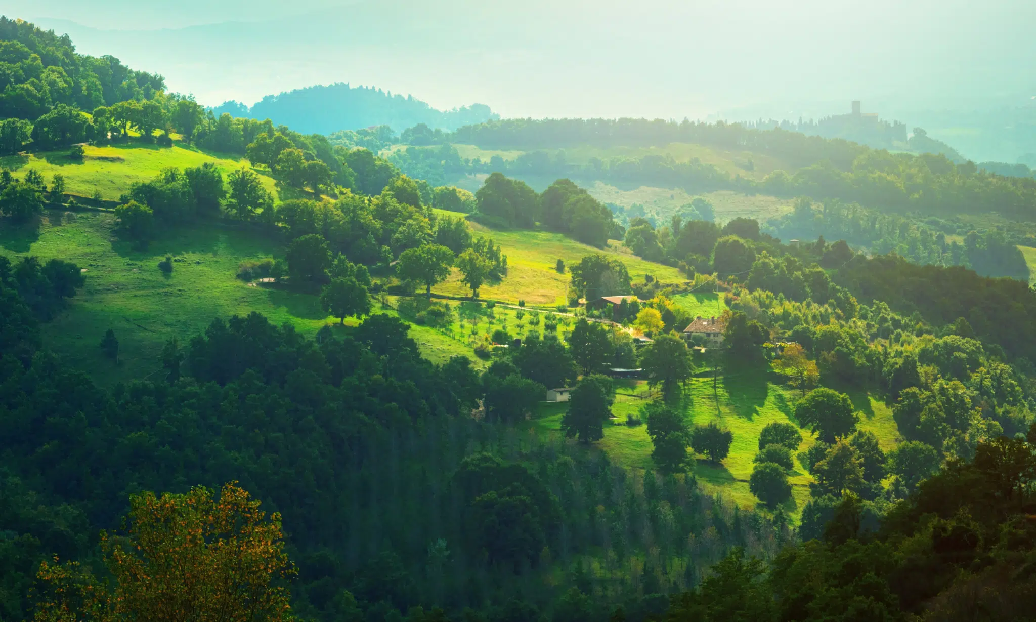 Un luogo dai mille volti: Palazzo dei Priori, attuale sede della Galleria  Nazionale dell’Umbria da sempre centro nevralgico della vita politica  istituzionale e culturale della città. Scopri i segreti ..., image size:2048x1229