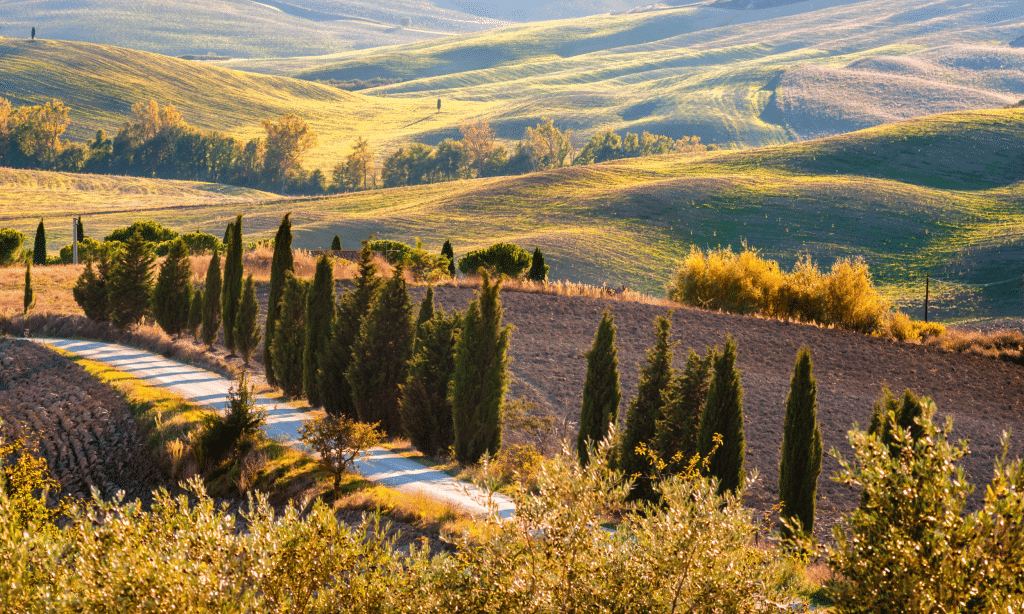 Le Migliori Location per Comprare Case di Lusso in Toscana e Umbria