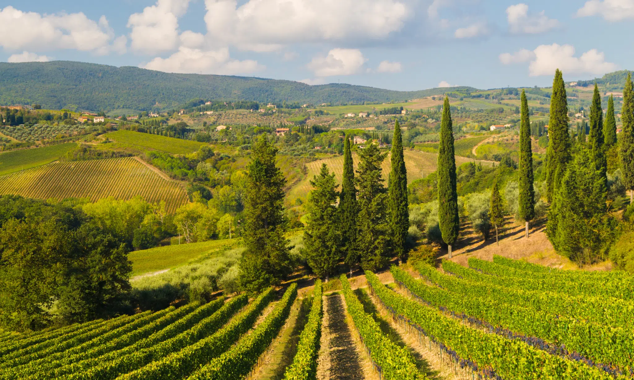 Chianti, Tuscany, Italy - real estate investments