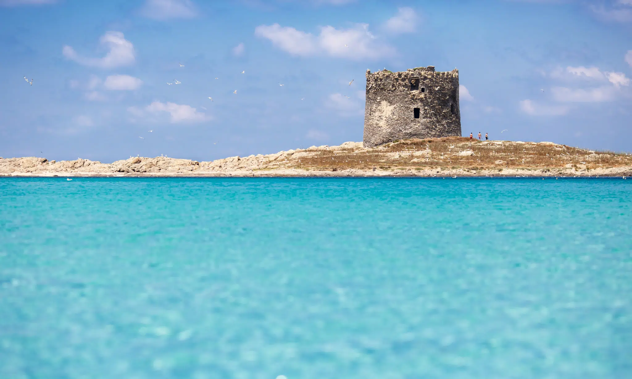 Stintino, Sardinia luxury real estate