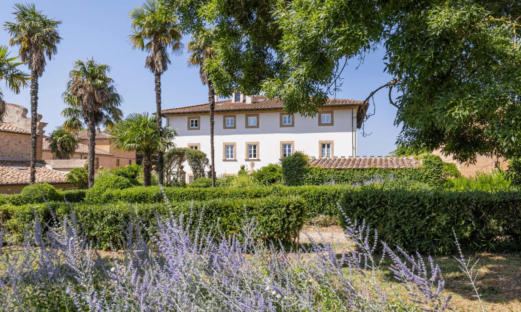 Estate with Pool on the Hills of Pisa