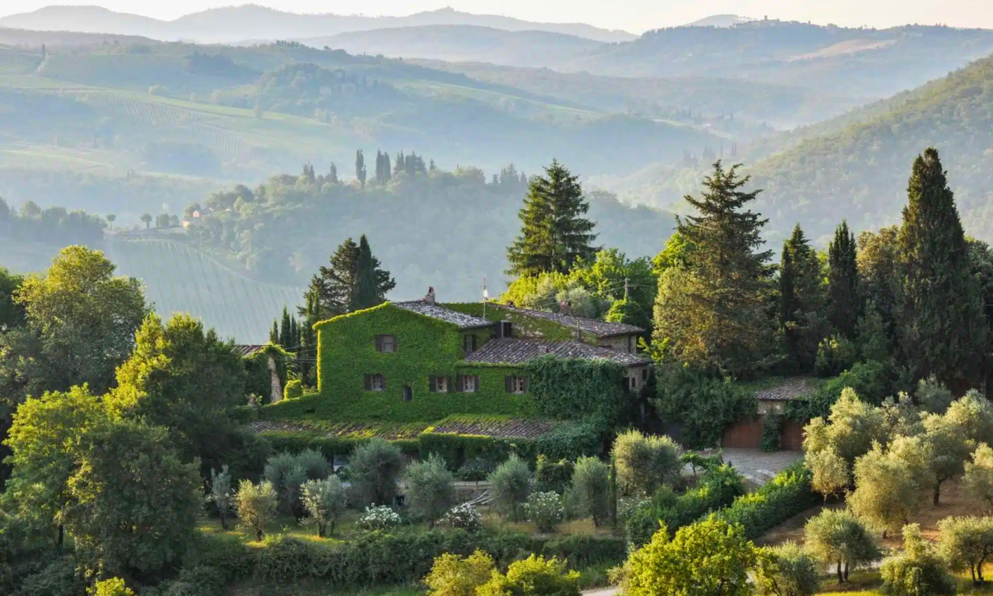 wine estate with vineyard for sale in tuscany