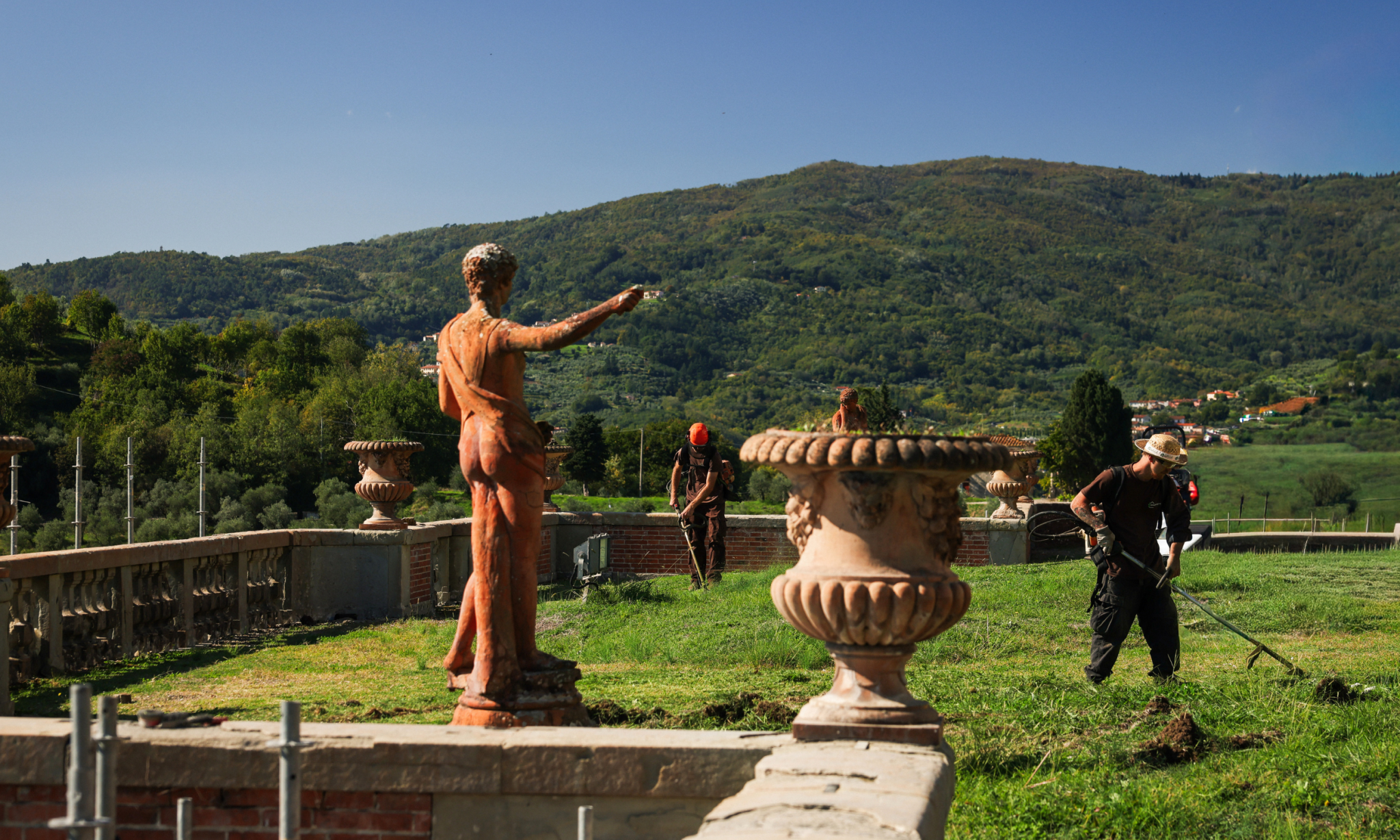 verdelegante garden landscape