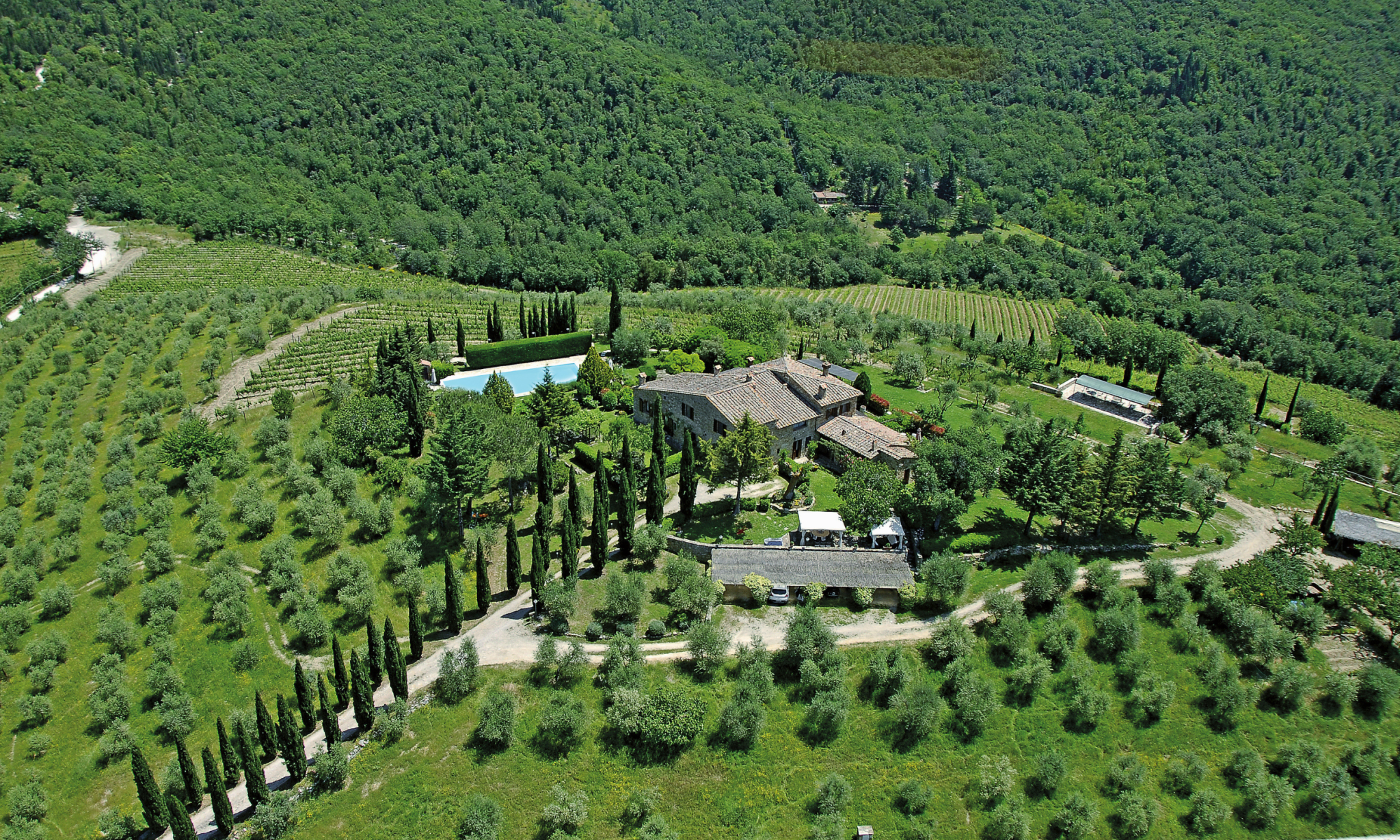 Wine Estate with Pool in Chianti