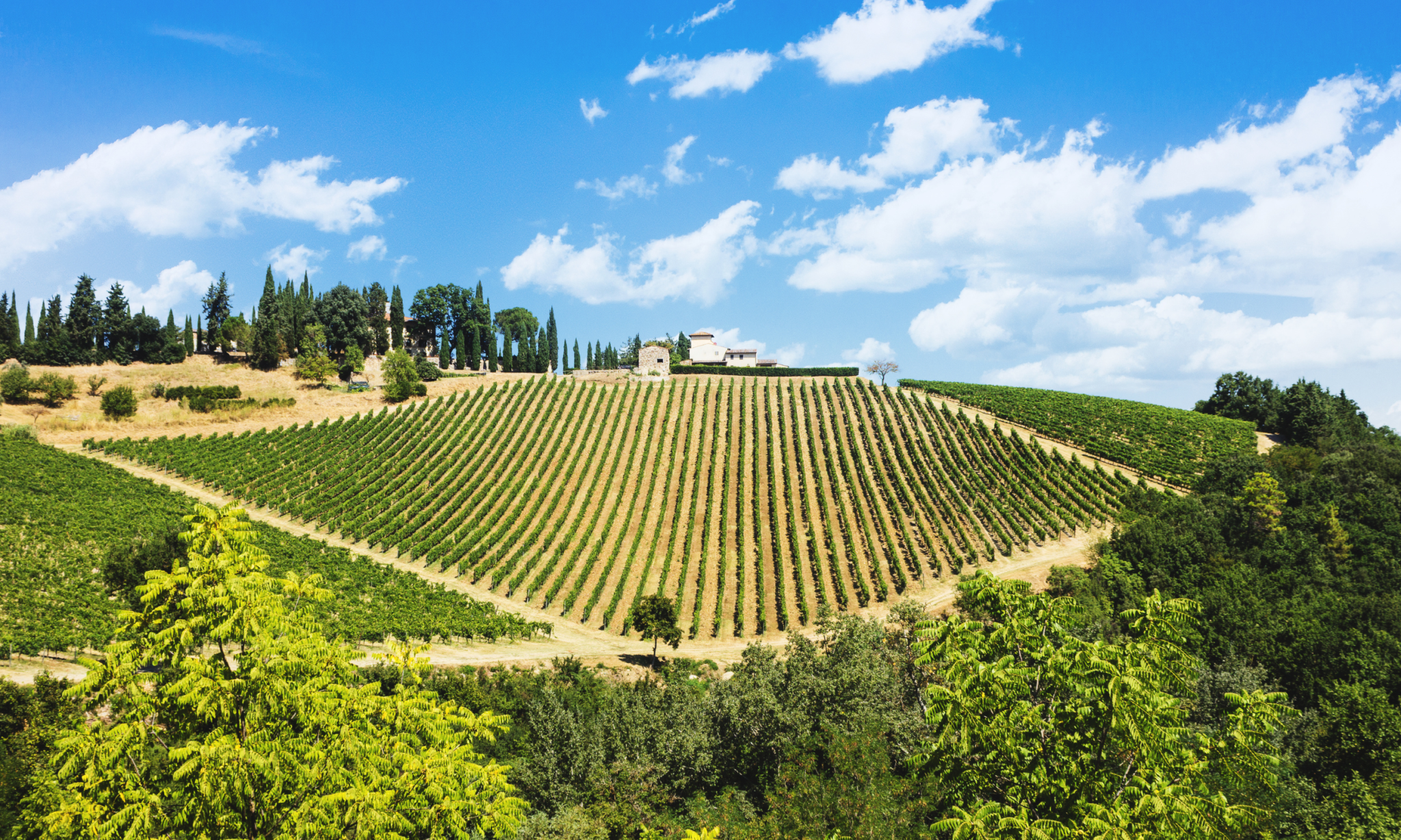 Chianti