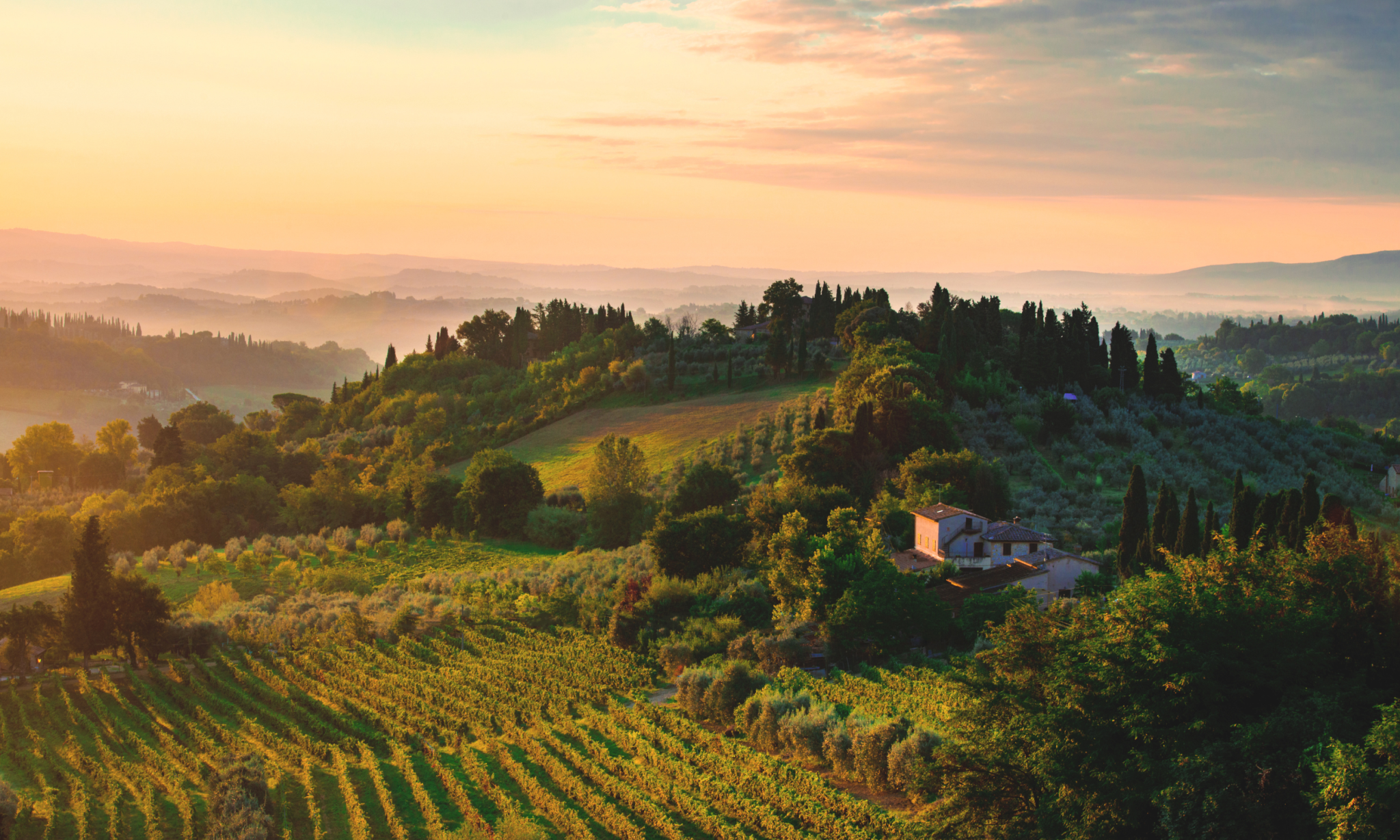 winery in tuscany