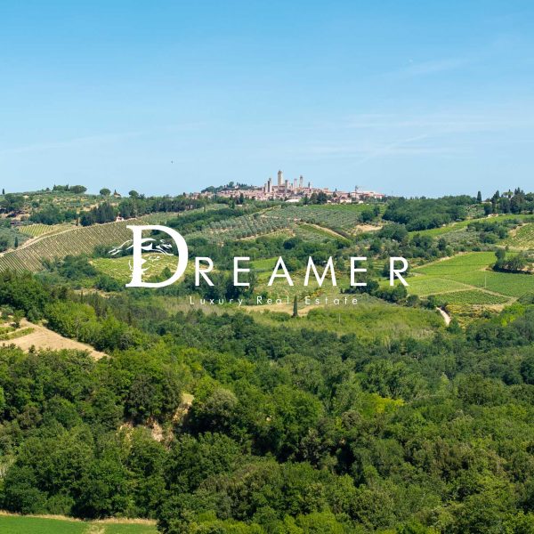 Winery with 53 hectares in San Gimignano-1_486596