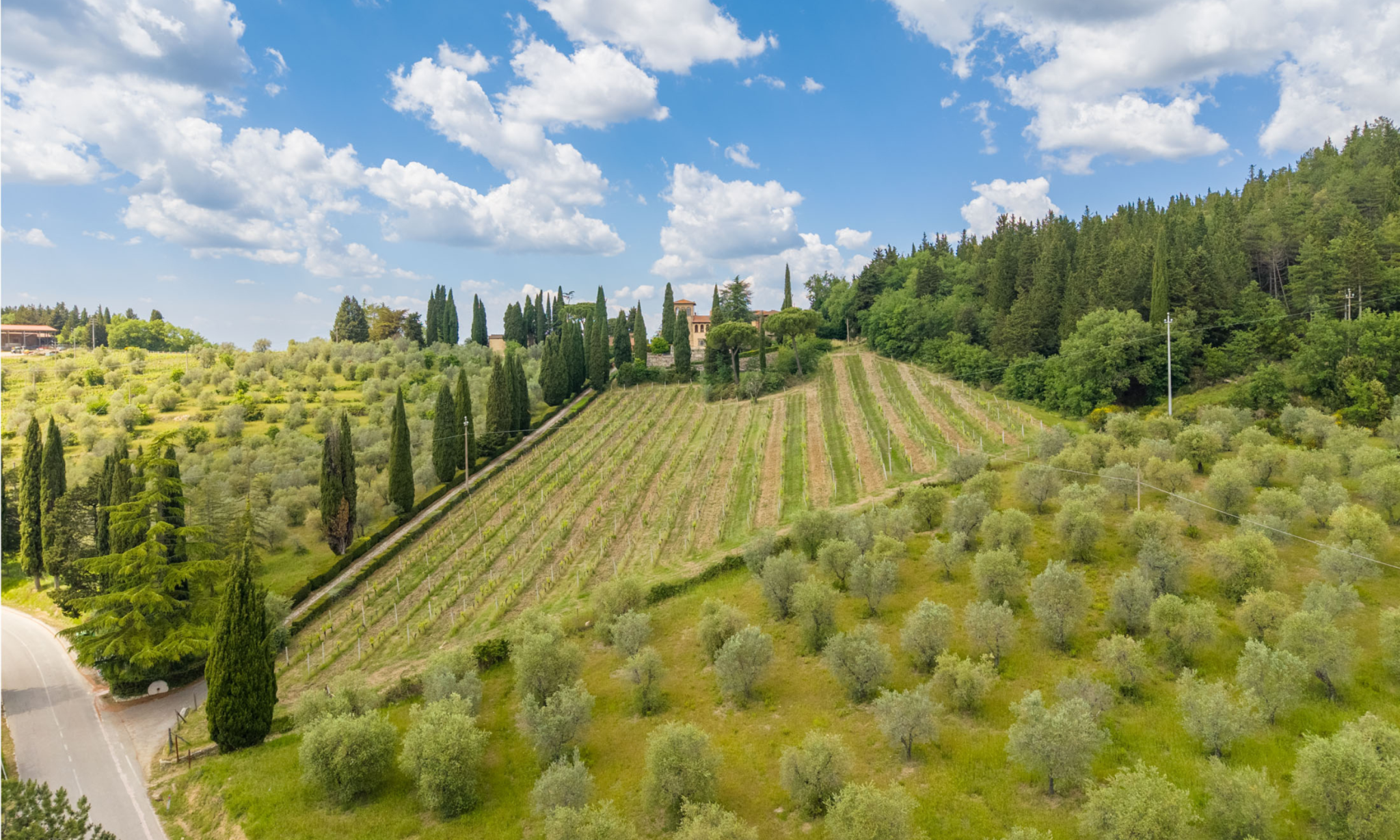 Cantina Vinicola, Olivicoltura e Resort di Lusso nel Chianti